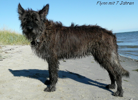 Flynn mit 7 Jahren