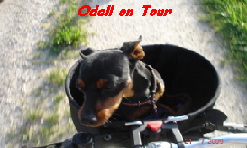 Odell on Tour