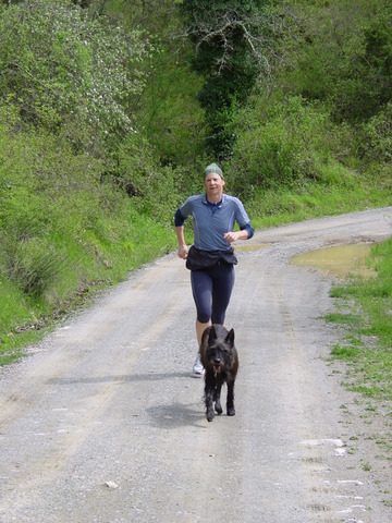 Berger Picard, Hollandse Herder, Holl�ndischer Sch�ferhund, Aloha kakou