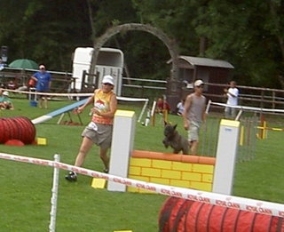 Hollandse Herder, Holl�ndischer Sch�ferhund, Aloha kakou