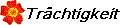 Tr�chtigkeit