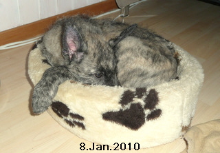 8.Jan.2010