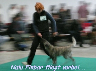 Nalu Finbar fliegt vorbei...