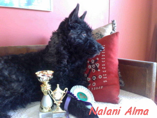 Nalani Alma