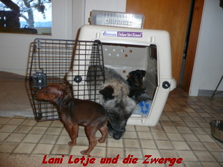 Lani Lotje und die Zwerge