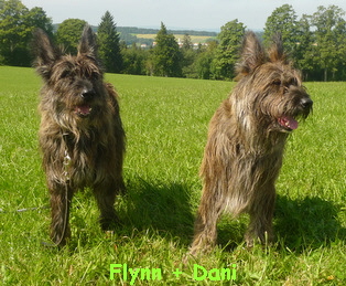 Flynn + Dani