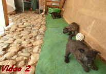 Video 2