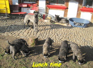 Lunch time