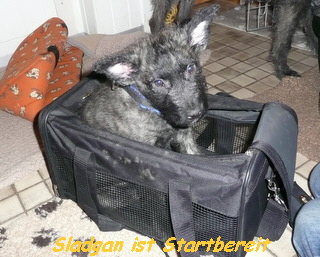 Sladgan ist Startbereit