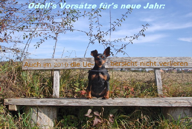 Odell's Vors�tze f�r's neue Jahr: