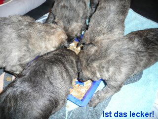 Ist das lecker!