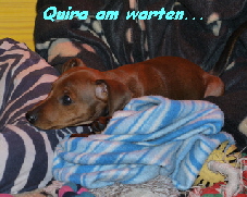 Quira am warten...