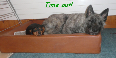 Time out!