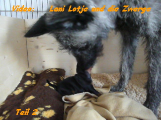 Video:    Lani Lotje und die Zwerge   








    Teil 2
