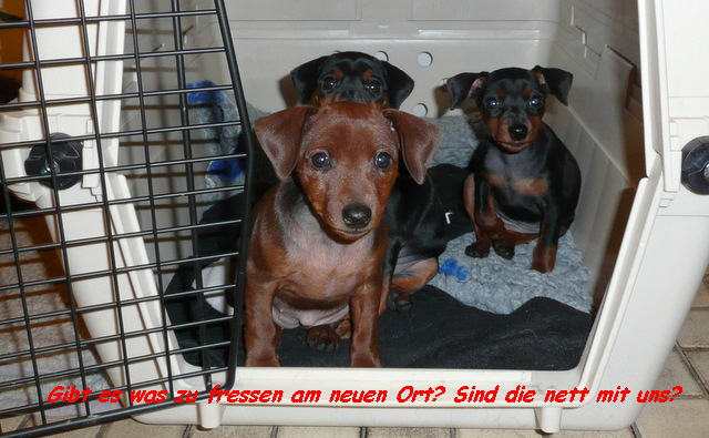 Gibt es was zu fressen am neuen Ort? Sind die nett mit uns?