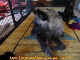 Lani Lotje und die Zwerge, Teil 4