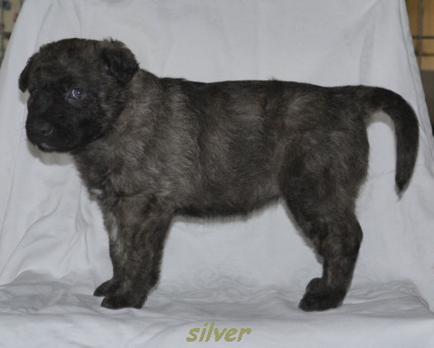 silver